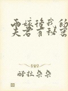 两嫁后我的新任夫君有秘密全本阅读