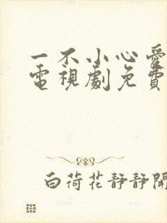 一不小心爱上你电视剧免费观看全集完整版