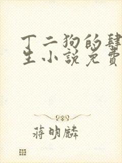 丁二狗的肆意人生小说免费阅读全文完整版