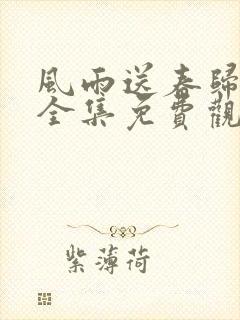 风雨送春归在线全集免费观看电视剧