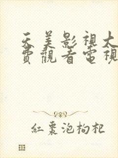 天美影视大全免费观看电视剧封面