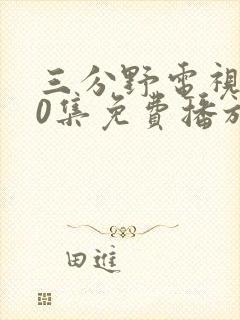 三分野电视剧40集免费播放