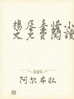 杨辰秦惜小说全文免费阅读最新更新章节