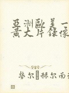 亚洲欧美一级特黄大片录像