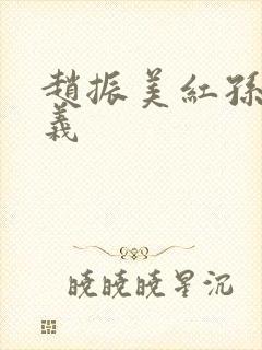 赵振美红孙倩高义封面