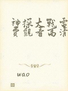 神探大战电影免费观看高清完整版封面