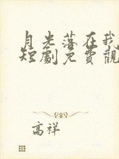 月光落在我身上短剧免费观看