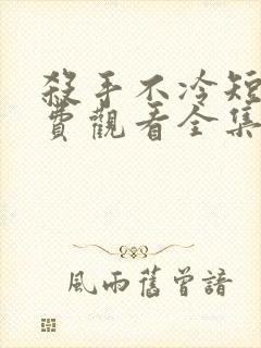 杀手不冷短剧免费观看全集高清版