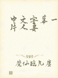 中文字幕一级一片人妻