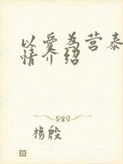 以爱为营泰剧剧情介绍封面