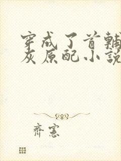 穿成了首辅的炮灰原配小说封面