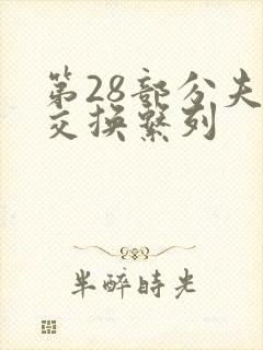 第28部分夫妇交换系列