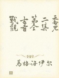 战士第二季在线观看全集免费播放