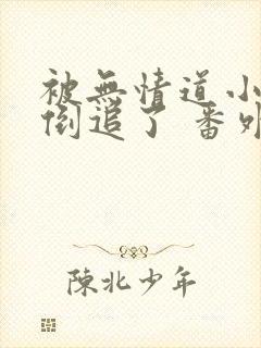 被无情道小师弟倒追了 番外