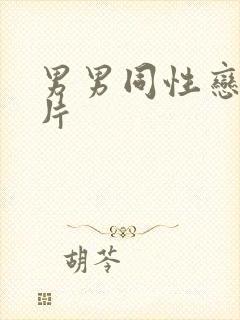 男男同性恋a级片
