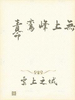 青鸾峰上无敌天命