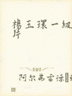 杨玉环一级黄色片封面