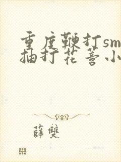 重度鞭打sm 抽打花蒂小说