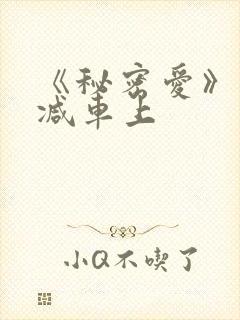 《秘密爱》未删减车上