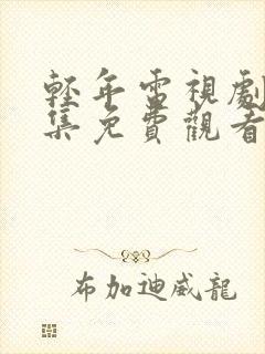 轻年电视剧40集免费观看