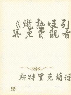 《炽热吸引》全集免费观看第13集