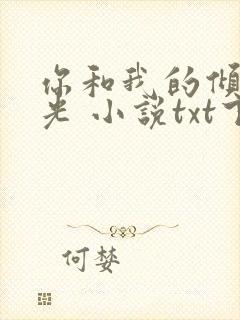你和我的倾城时光 小说txt下载封面