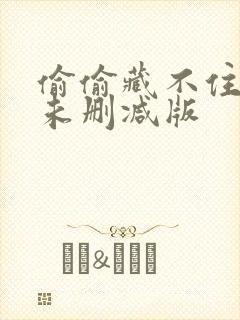 偷偷藏不住小说未删减版