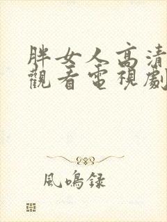 胖女人高清在线观看电视剧