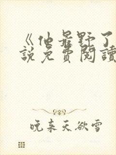 《他最野了》小说免费阅读