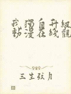 我独自升级第季动漫在线观看第一季封面