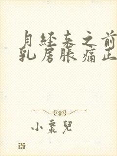 月经来之前几天乳房胀痛正常吗