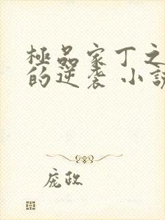 极品家丁之诚王的逆袭 小说封面