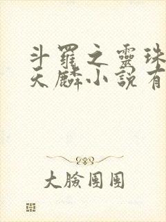 斗罗之灵珠神剑天麟小说有声听书免费