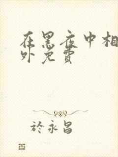 在黑夜中相拥番外免费封面