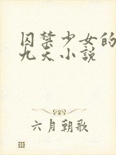 囚禁少女的四十九天小说