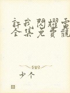 许我闪耀电视剧全集免费观看封面