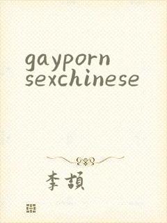 gaypornsexchinese