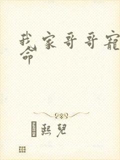 我家哥哥宠妹如命封面