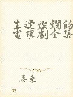 生逢灿烂的日子电视剧全集免费看