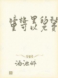 暗格里的秘密哪里可以免费观看