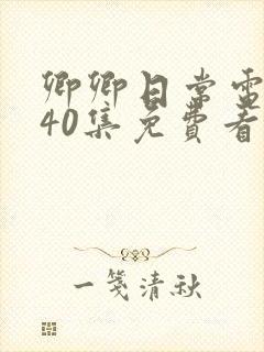 卿卿日常电视剧40集免费看全集封面