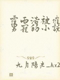 霍雨浩被催眠成男宠的小说封面