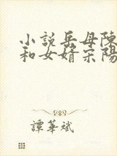 小说岳母陈丽珍和女婿宋阳免费阅读全文