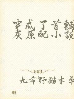 穿成了首辅的炮灰原配小说