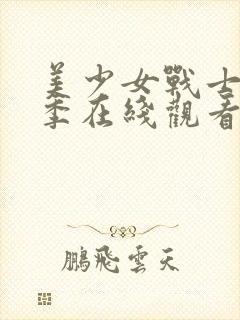 美少女战士第六季在线观看