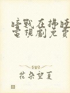 暗战在拂晓之前电视剧免费观看全集完整版