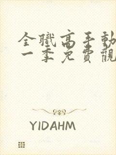 全职高手动漫第一季免费观看完整版