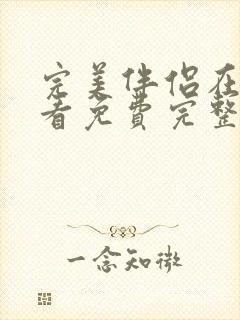 完美伴侣在线观看免费完整版高清