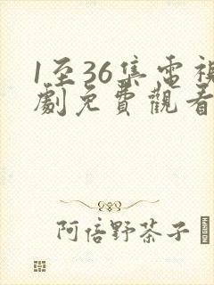 1至36集电视剧免费观看