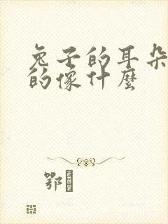 兔子的耳朵长长的像什么